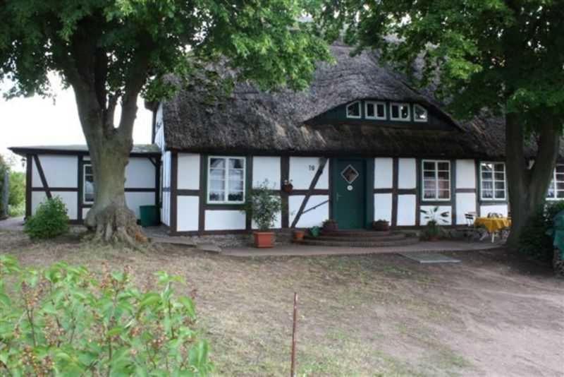 Damerow 1 Federow